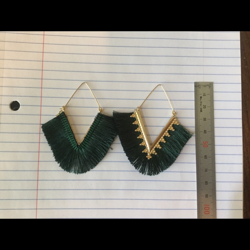 Earring NWOB